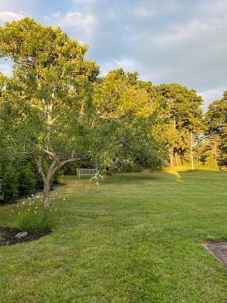 Harwich Cape Cod vacation rental - Spacious Yard