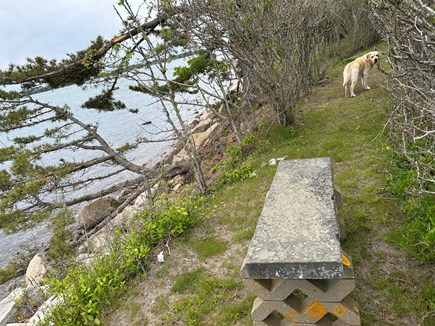 Falmouth Cape Cod vacation rental - Sunset bench-watch the water and feel the calm