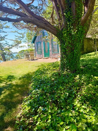 Woods Hole Cape Cod vacation rental - Paradise on a hill