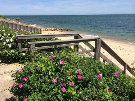 Dennisport Cape Cod vacation rental - View from communal deck, no crowds, enjoy the view