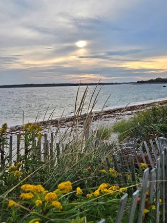 Falmouth, Sea Coast Shores Cape Cod vacation rental - Shoreline road to Woods Hole
