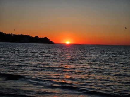 Falmouth, Sea Coast Shores Cape Cod vacation rental - Perfect ending to a beautiful Falmouth day