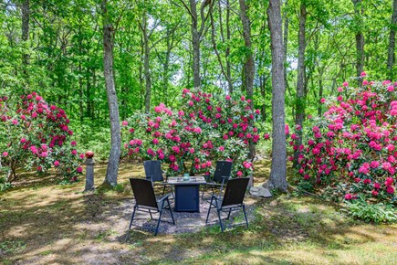 East Sandwich Cape Cod vacation rental - Perfect spot to spend your afternoons and evening