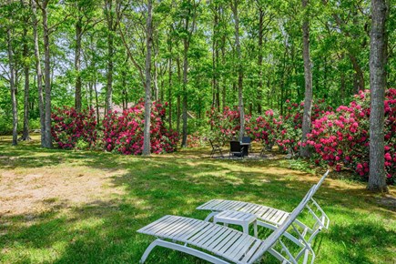 East Sandwich Cape Cod vacation rental - Lounge chairs