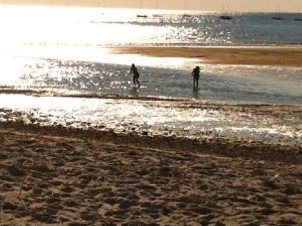 Brewster Cape Cod vacation rental - Playing in the tide pools