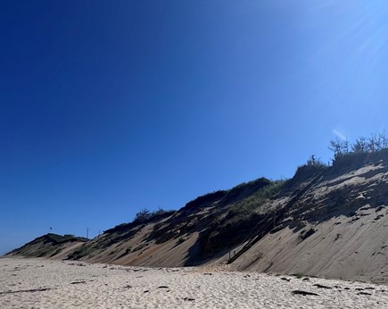 Ocean Side Wellfleet Cape Cod vacation rental - Public dune path (left) .5 mile. Private beach stairs (right)