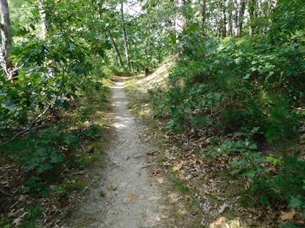 Wellfleet Cape Cod vacation rental - 