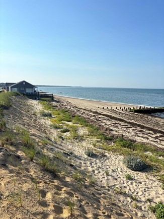 Truro - 9 min to Ptown Cape Cod vacation rental - Gorgeous beach steps away