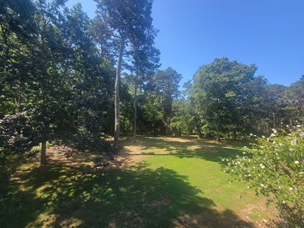 Brewster, South Orleans Cape Cod vacation rental - Large back yard view from deck