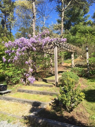 Wellfleet Cape Cod vacation rental - Driveway entrance
