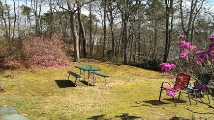 Orleans Cape Cod vacation rental - Back Yard