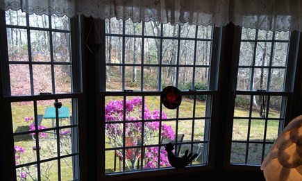 Orleans Cape Cod vacation rental - View from eat-in kitchen area