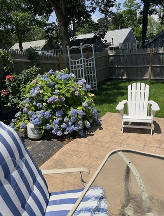 South Yarmouth Cape Cod vacation rental - Backyard