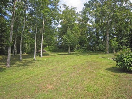 Orleans Cape Cod vacation rental - Yard