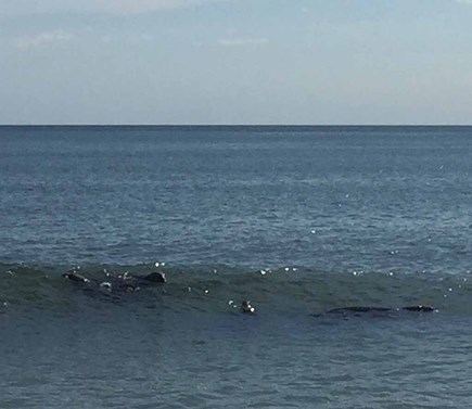 Orleans Cape Cod vacation rental - Skaket Beach