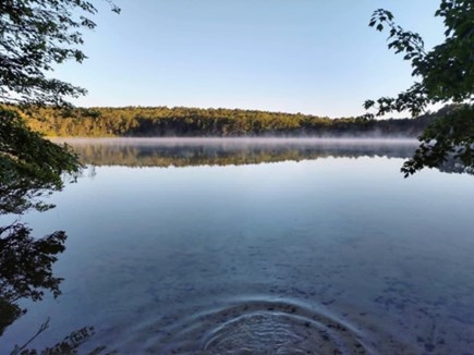 Wellfleet Cape Cod vacation rental - Waters Edge From Private Beach At Slough Pond