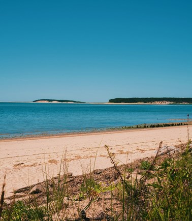 Wellfleet Cape Cod vacation rental - 