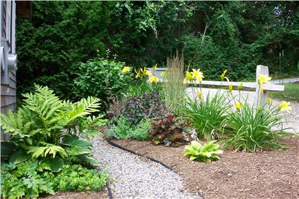 South Orleans Cape Cod vacation rental - One of many gardens