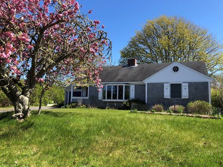Chatham Cape Cod vacation rental - The view from the front of the house is a wooded area