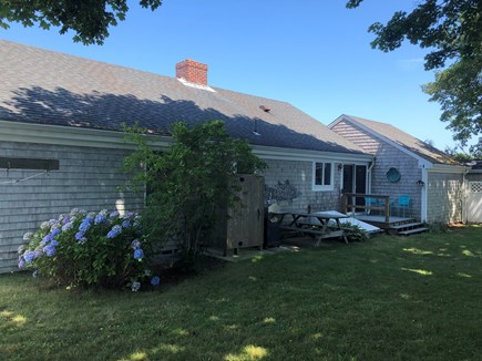 Chatham Cape Cod vacation rental - An enormous shade tree cools the backyard on hot summer days.