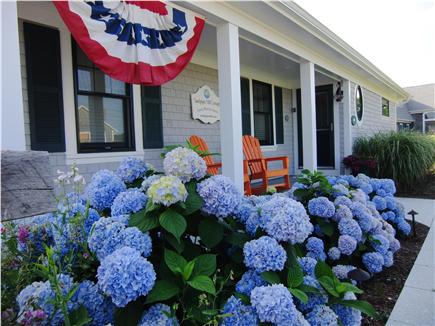 Wellfleet Harbor Cape Cod vacation rental - Bountiful Hydrangeas Welcome Guests Back to Sandpiper Hill