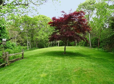 Chatham Cape Cod vacation rental - Newly landscaped back yard - great for outdoor games