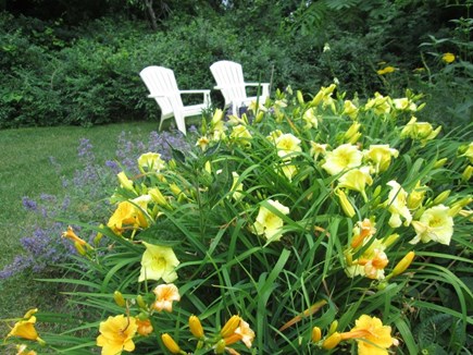 Brewster Cape Cod vacation rental - Beautifully landscaped yard