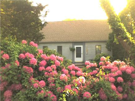 East Orleans Cape Cod vacation rental - Spring on Norseman's drive