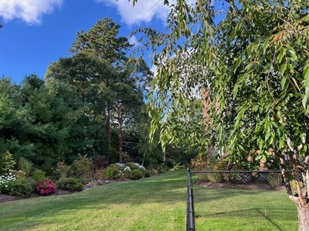 Eastham Cape Cod vacation rental - Side yard with expansive lawn and mature gardens.