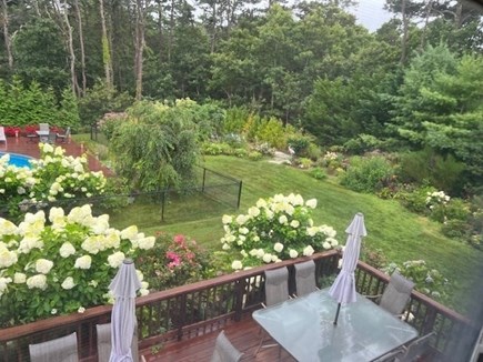 Eastham Cape Cod vacation rental - Expansive gardens and lawn area for badminton or croquet.