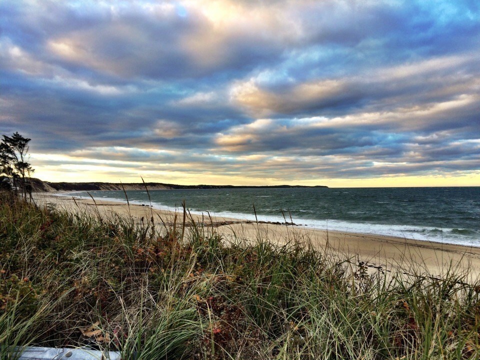 Who doesn’t LOVE the Ice Cream trucks, comes by almost every day