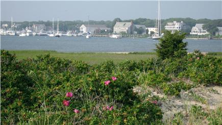 Falmouth Cape Cod vacation rental - Private beach overlooking Green Harbor inlet