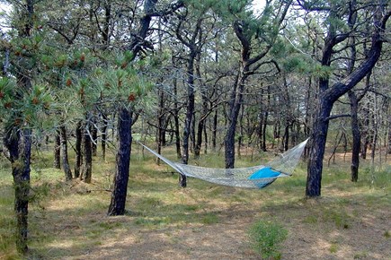 North Eastham Cape Cod vacation rental - Your hammock awaits...