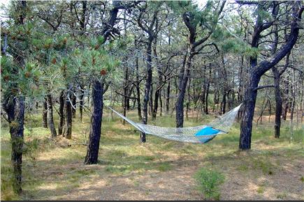 North Eastham Cape Cod vacation rental - Relaxing hammock