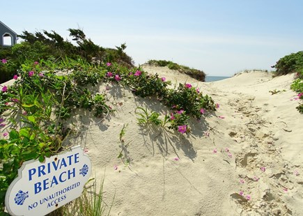 West Dennis Cape Cod vacation rental - Private beach bath, climb over dune to lovely beach 