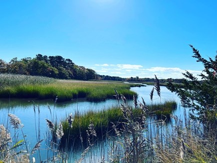 West Harwich Cape Cod vacation rental - Bell's Neck Conservation - 10 minute walk crabbing/fishing, etc
