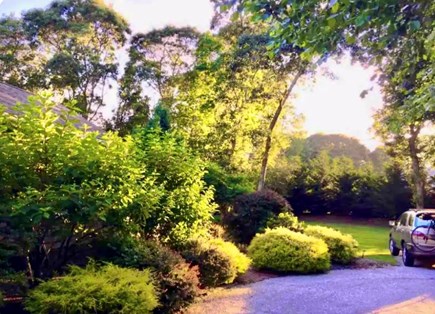 East Falmouth in the historic  Cape Cod vacation rental - Lush grounds in the expansive yard