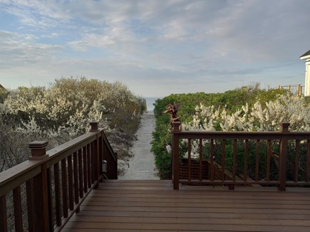 East Sandwich Cape Cod vacation rental - House deck and boardwalk to dune deck