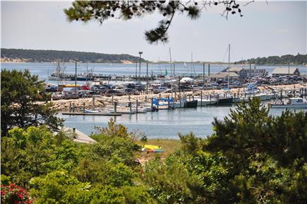 Wellfleet Cape Cod vacation rental - Enjoy this lovely view from all front facing rooms and the patio