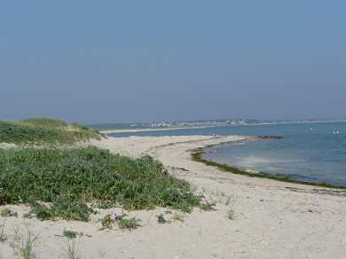 South Chatham Cape Cod vacation rental - Free Parking at Forest Beach, Walking Distance too!