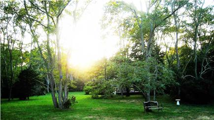 Eastham Cape Cod vacation rental - Spacious, private back yard