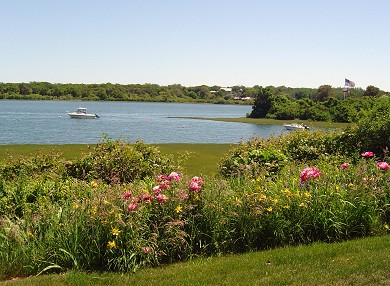 Oyster Pond/Chatham Cape Cod vacation rental - Conservation area