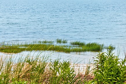 Orleans Cape Cod vacation rental - Private beach