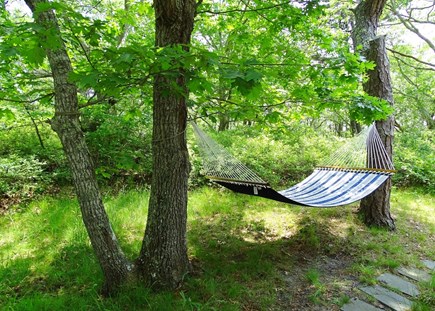 Wellfleet Cape Cod vacation rental - Private back yard with new hammock