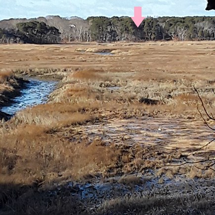 Wellfleet Cape Cod vacation rental - Pink arrow shows home from across open space with tidal waters