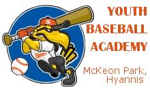Youth Baseball Academy