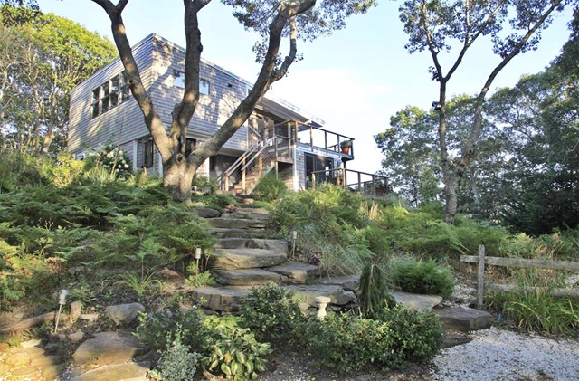 Secluded Contemporary