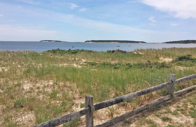 Bright, airy beach cottage right across from beautiful Mayo Beach