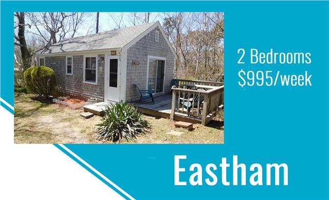 Summer Breeze on Minister's Pond