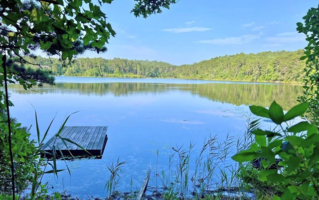 Mid-Century Modern Truro on Great Pond